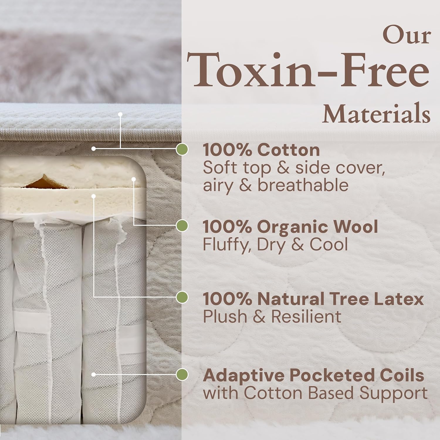 CottonSleep All Natural Mattress (100% Organic Cotton, Wool, & GOTS Latex, Made in The USA) Non Toxic, Fiberglass Free Hybrid Pocket Coil and Plush Foam Bed in A Box Medium Soft - Queen, 13"
