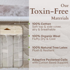 CottonSleep All Natural Mattress (100% Organic Cotton, Wool, & GOTS Latex, Made in The USA) Non Toxic, Fiberglass Free Hybrid Pocket Coil and Plush Foam Bed in A Box Medium Soft - Queen, 13"
