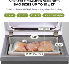 VacMaster VP210 Maintenance-Free Chamber Vacuum Sealer with 10.25” seal bar