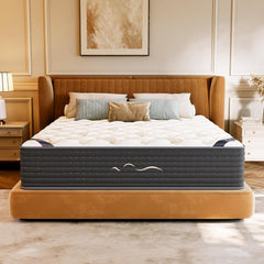 TXO 14 Inch Hybrid Queen Mattress in a Box, Dual-Sided Medium Firm & Firm, Cooling Gel Memory Foam Mattress, Pocket Springs for Motion Isolation, Pressure Relief, CertiPUR-US Certified