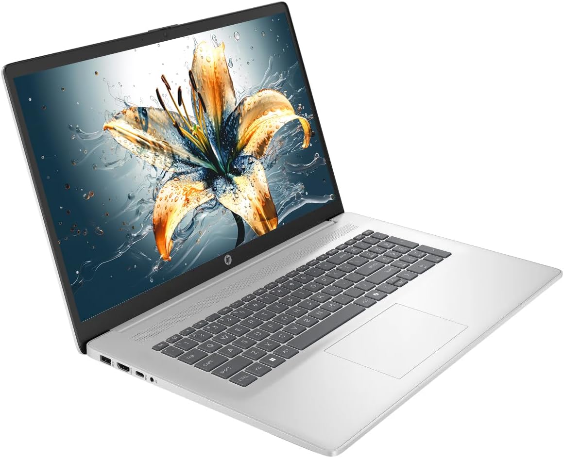 HP 17 Laptop  17.3" HD+ LED Anti-Glare Touchscreen Business Laptop Computer  Windows 11 Laptop 32GB RAM 1TB SSD  AMD Ryzen 5 Processor  AMD Radeon Graphics  Numeric Keypad  NLY Earphones  Silver