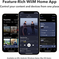 WiiM Ultra Music Streamer & Digital Preamp | 3.5" Touchscreen  Compatible with Google Cast & Alexa  Stream Spotify  Amazon Music  Tidal & More | HDMI ARC  Phono Input & Headphone Output | Space Gray