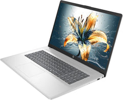 HP 17 Laptop  17.3" HD+ LED Anti-Glare Touchscreen Business Laptop Computer  Windows 11 Laptop 32GB RAM 1TB SSD  AMD Ryzen 5 Processor  AMD Radeon Graphics  Numeric Keypad  NLY Earphones  Silver