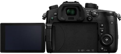 Panasonic Lumix DC-GH5 Mirrorless Micro Four Thirds Digital Camera 13PC Accessory Bundle – Includes 64GB SD Memory Card + More - International Version (No Warranty)