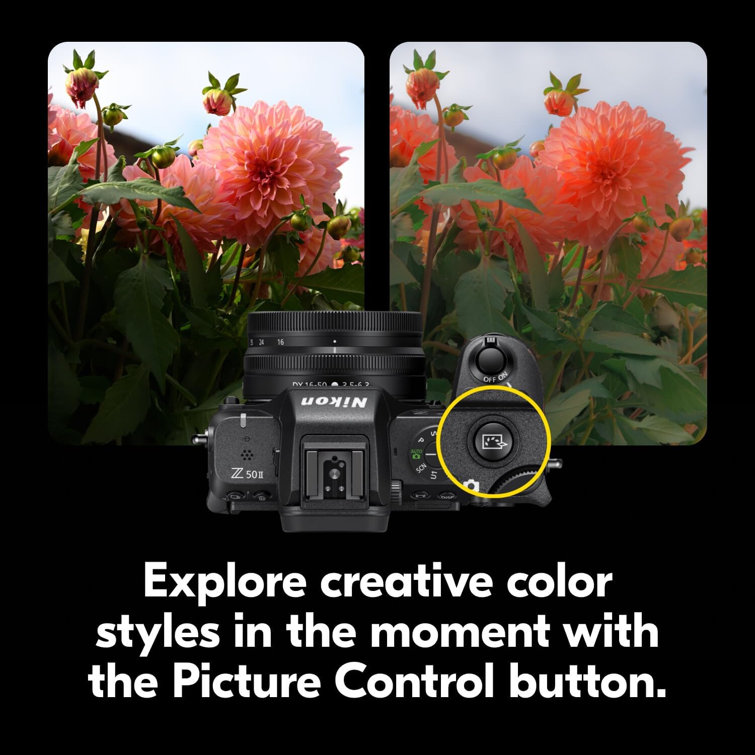 Nikon Z50 II with Two Lenses | Compact mirrorless Stills/Video Camera with Easy Color presets and Wireless Photo Sharing | USA Model