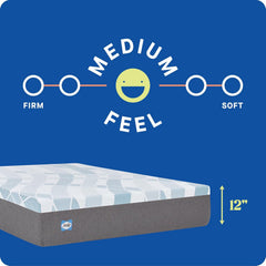 Sealy Dreamlife 12” Hybrid Mattress-in-a-Box, King, SealyComfort Gel Memory Foam, SealyResponsive Encased Coils, Surface-Guard Technology