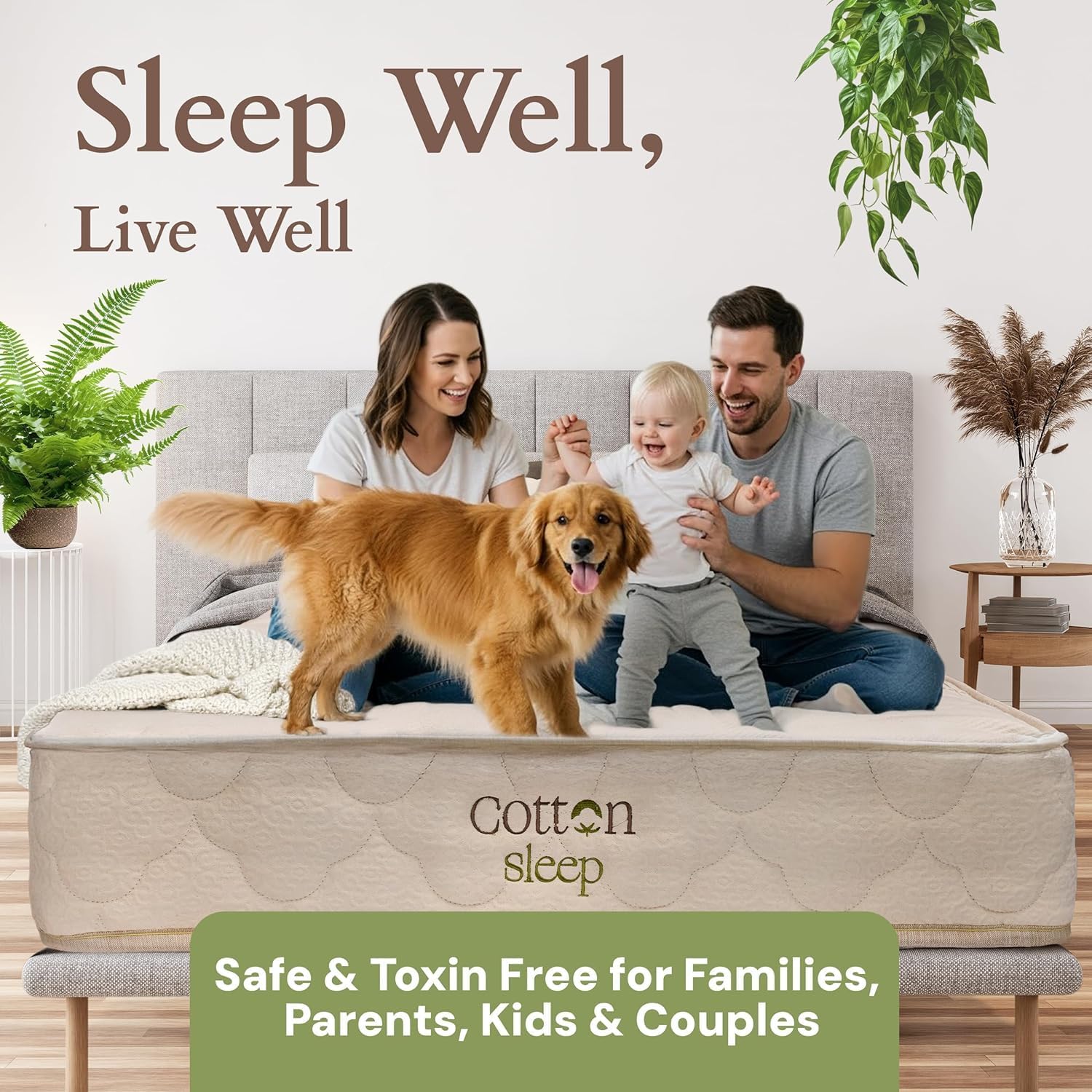 CottonSleep All Natural Mattress (100% Organic Cotton, Wool, & GOTS Latex, Made in The USA) Non Toxic, Fiberglass Free Hybrid Pocket Coil and Plush Foam Bed in A Box Medium Soft - Queen, 13"